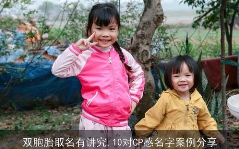 双胞胎取名有讲究,10对CP感名字案例分享