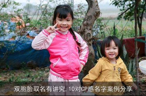 双胞胎取名有讲究,10对CP感名字案例分享