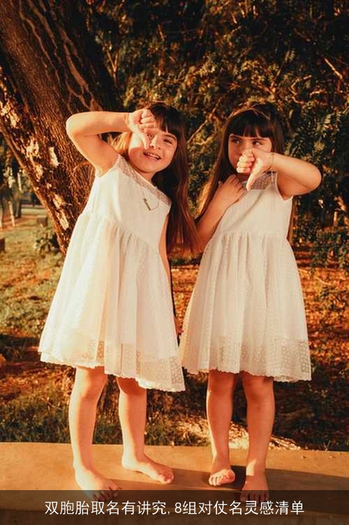 双胞胎取名有讲究,8组对仗名灵感清单