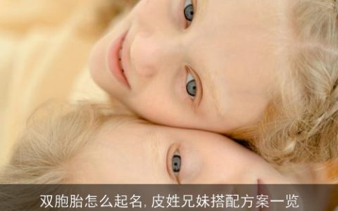 双胞胎怎么起名,皮姓兄妹搭配方案一览