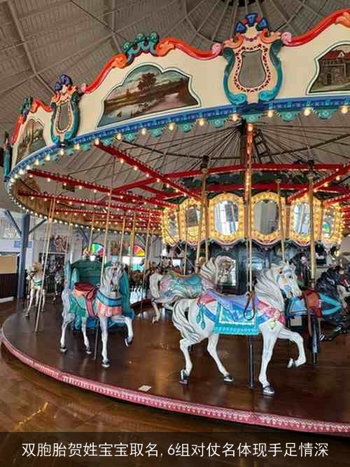 双胞胎贺姓宝宝取名,6组对仗名体现手足情深