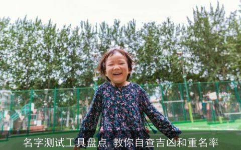名字测试工具盘点,教你自查吉凶和重名率