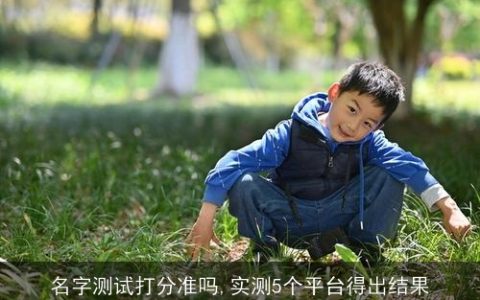 名字测试打分准吗,实测5个平台得出结果