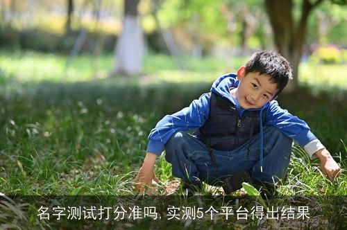名字测试打分准吗,实测5个平台得出结果
