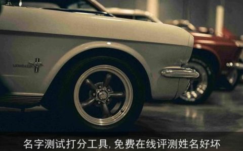 名字测试打分工具,免费在线评测姓名好坏