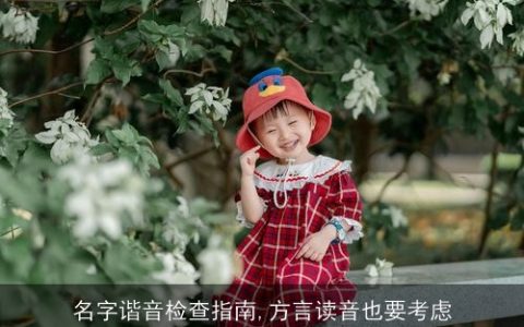 名字谐音检查指南,方言读音也要考虑