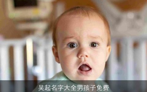 吴起名字大全男孩子免费