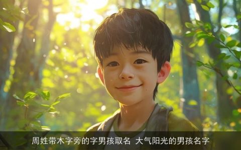 周姓带木字旁的字男孩取名 大气阳光的男孩名字