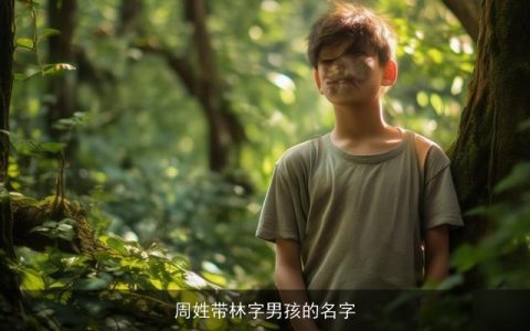 周姓带林字男孩的名字