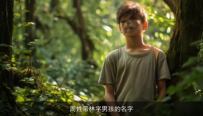 周姓带林字男孩的名字