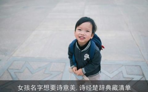 女孩名字想要诗意美,诗经楚辞典藏清单
