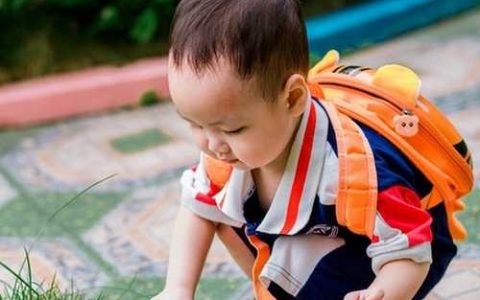 孕期囤货别着急,先看完这份取名时间表