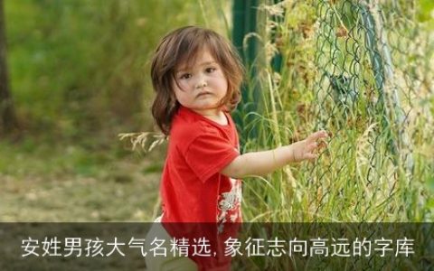 安姓男孩大气名精选,象征志向高远的字库