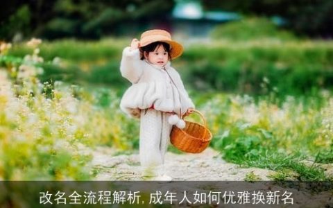 改名全流程解析,成年人如何优雅换新名