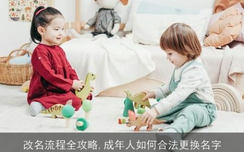 改名流程全攻略,成年人如何合法更换名字