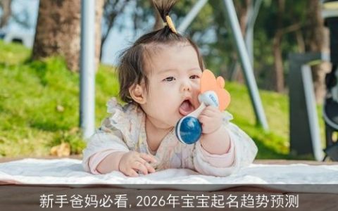 新手爸妈必看,2026年宝宝起名趋势预测