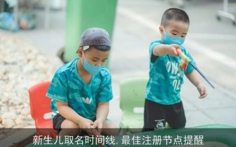 新生儿取名时间线,最佳注册节点提醒