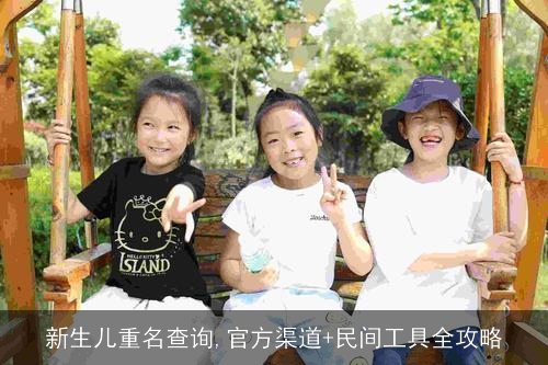 新生儿重名查询,官方渠道+民间工具全攻略