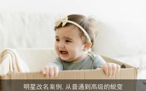 明星改名案例,从普通到高级的蜕变