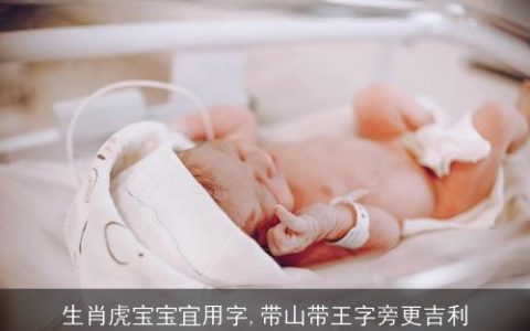 生肖虎宝宝宜用字,带山带王字旁更吉利