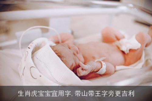 生肖虎宝宝宜用字,带山带王字旁更吉利