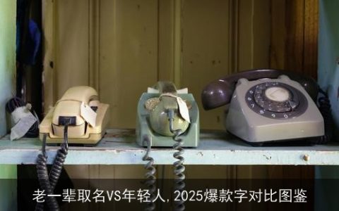 老一辈取名VS年轻人,2025爆款字对比图鉴