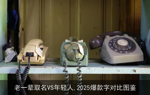 老一辈取名VS年轻人,2025爆款字对比图鉴