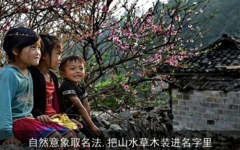 自然意象取名法,把山水草木装进名字里