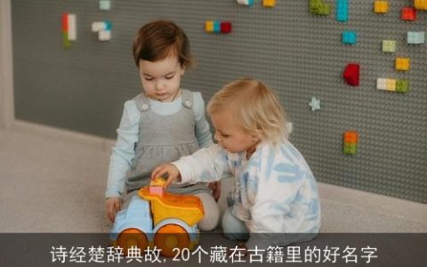 诗经楚辞典故,20个藏在古籍里的好名字