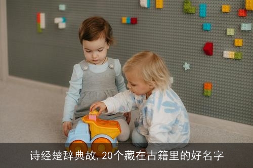 诗经楚辞典故,20个藏在古籍里的好名字