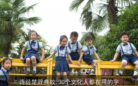 诗经楚辞典故,30个文化人都在用的字