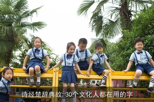诗经楚辞典故,30个文化人都在用的字