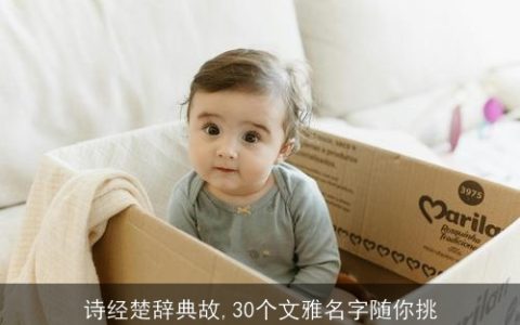 诗经楚辞典故,30个文雅名字随你挑