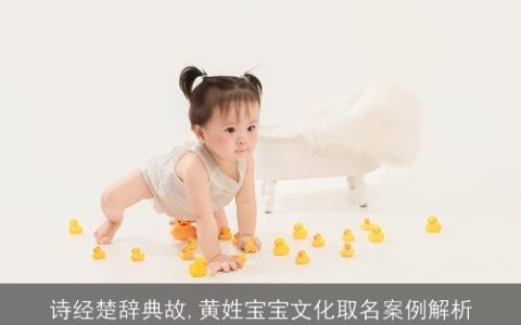诗经楚辞典故,黄姓宝宝文化取名案例解析