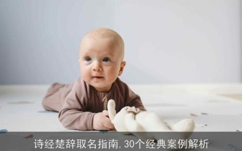 诗经楚辞取名指南,30个经典案例解析