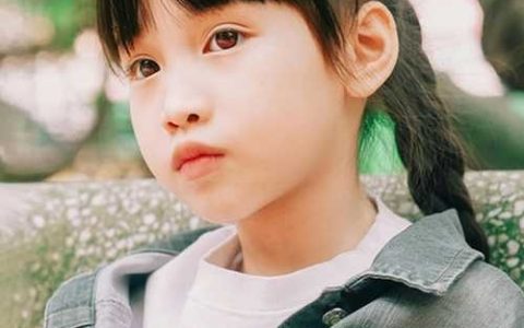 诗经楚辞怎么用,20个经典取名案例