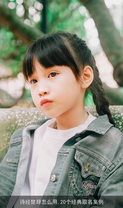 诗经楚辞怎么用,20个经典取名案例