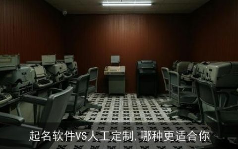 起名软件VS人工定制,哪种更适合你