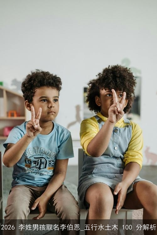 2026 李姓男孩取名李伯恩_五行水土木 100 分解析