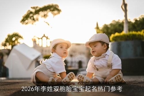 2026年李姓双胞胎宝宝起名热门参考
