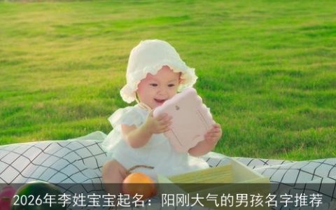 2026年李姓宝宝起名：阳刚大气的男孩名字推荐