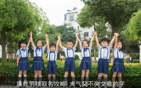 廉姓男孩取名攻略,大气又不失文雅的字