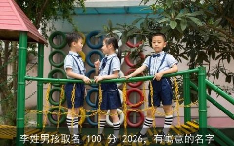 李姓男孩取名 100 分 2026，有寓意的名字