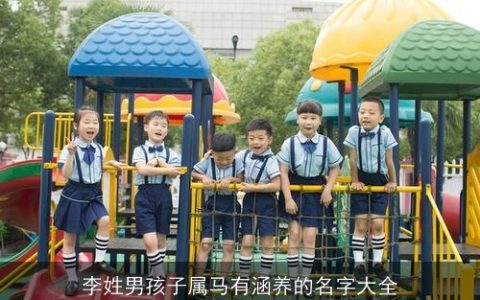 李姓男孩子属马有涵养的名字大全