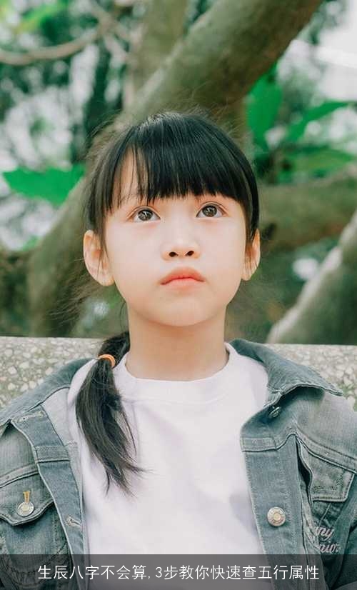 生辰八字不会算,3步教你快速查五行属性